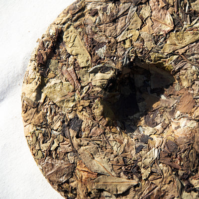 YUNNAN WHITE TEA - 2021 moonlight Fairy