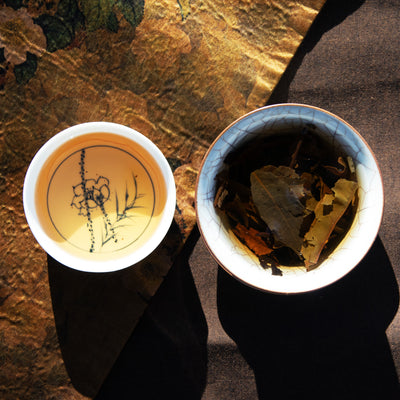 YUNNAN WHITE TEA - 2021 moonlight Fairy