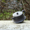 "zhu Chu" Style Yixing Teapot