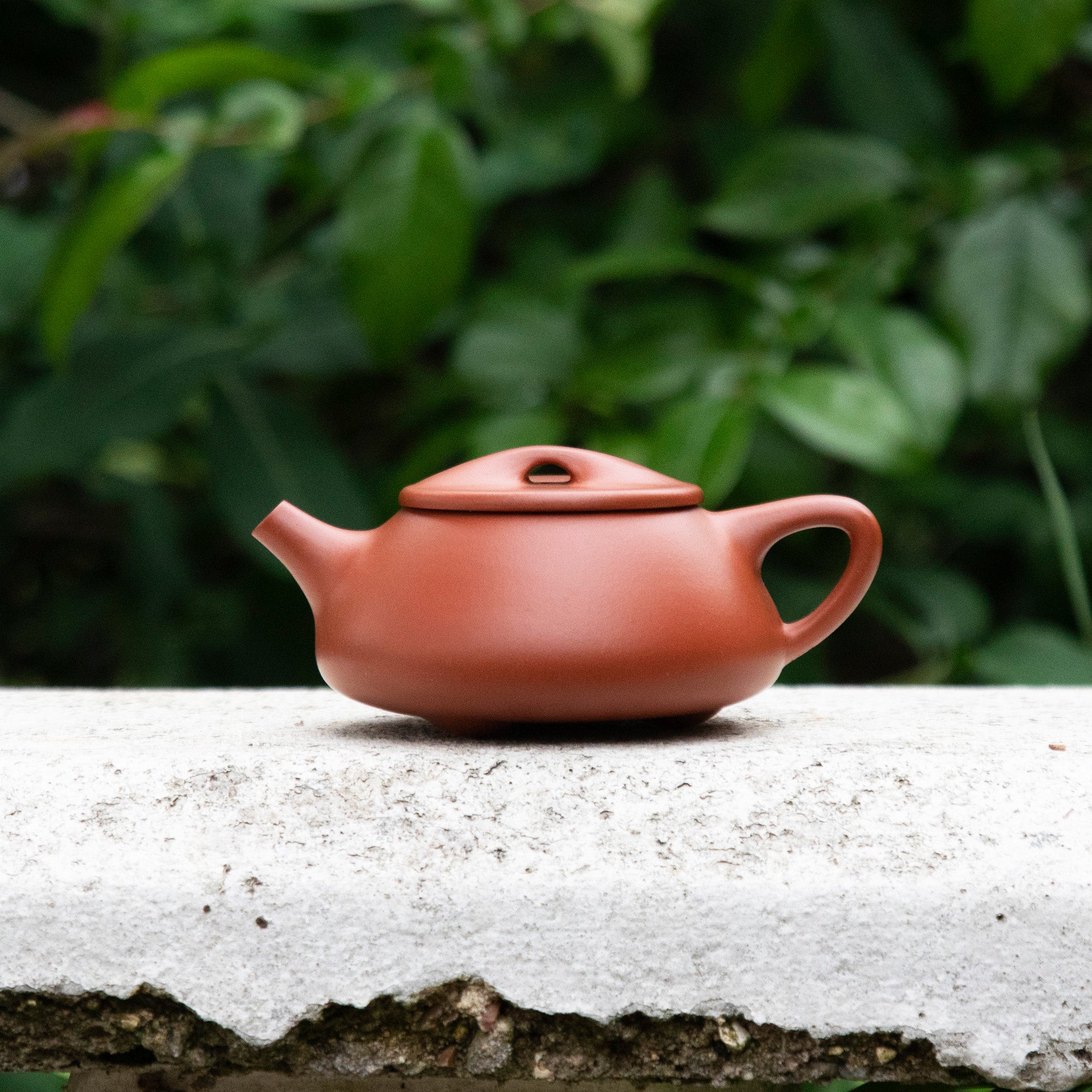 "Little Shi Piao" Yixing Teapot 140ML