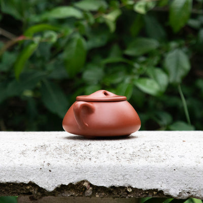 "Little Shi Piao" Yixing Teapot 140ML