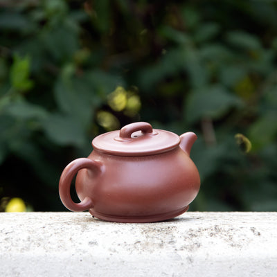 "good fortune" Yixing Teapot 240ML