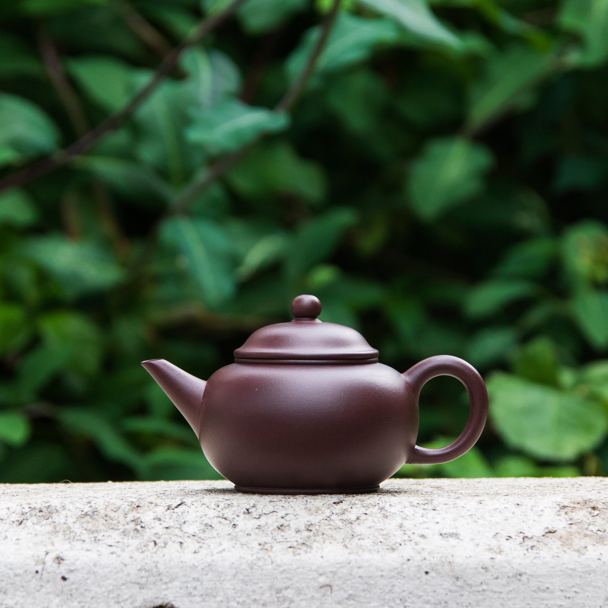 "Shui Ping" Yixing Teapot