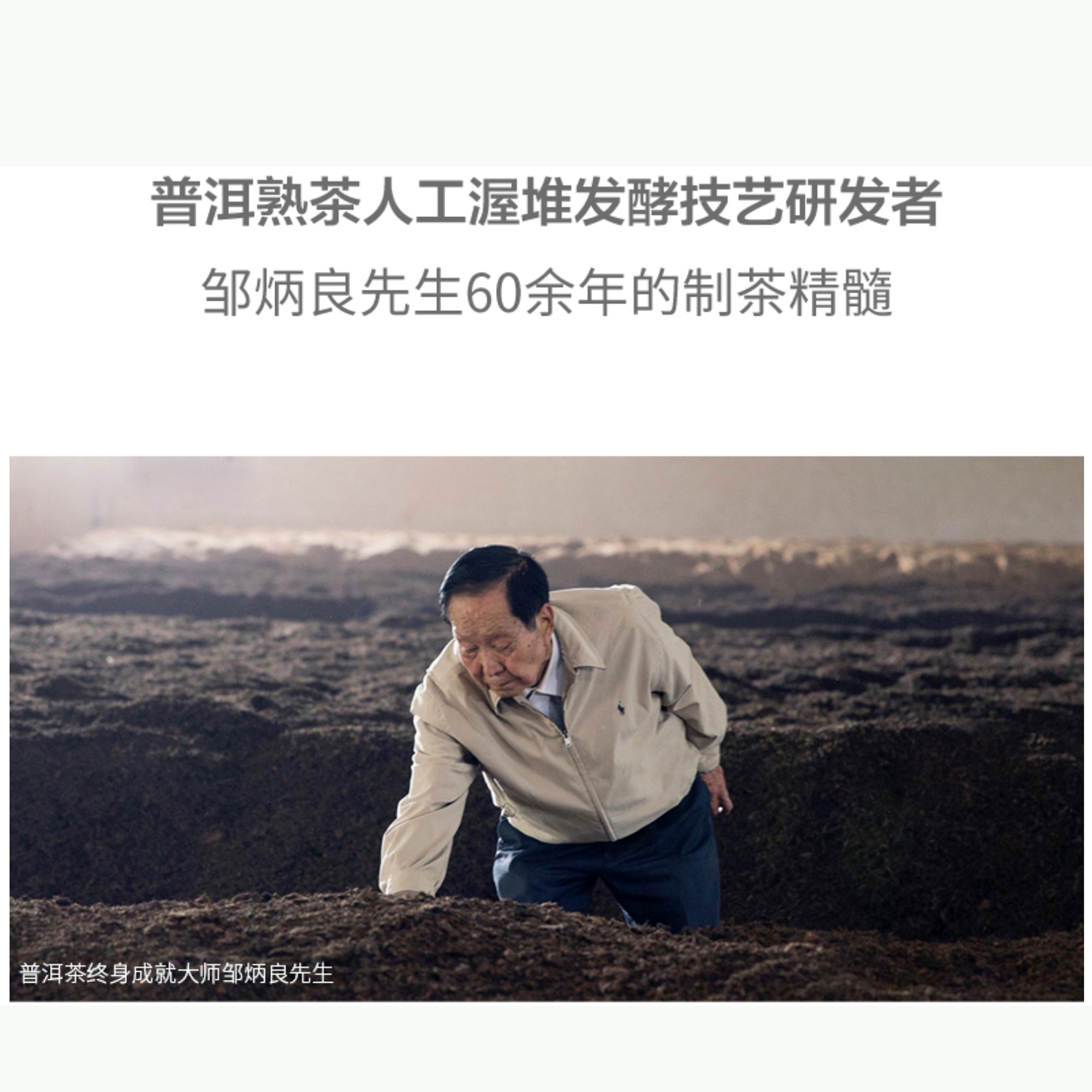 Special Tasting: "Lao Tong Zi" Puer Teas, Friday 8th Aug. at 3PM - 5PM