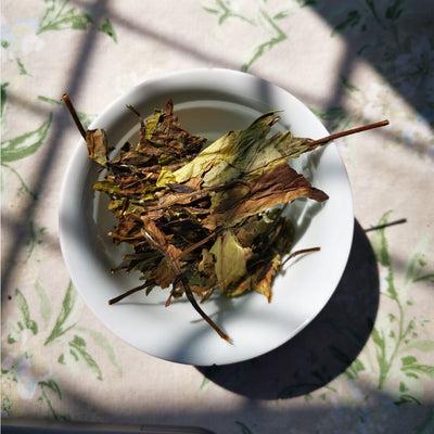 Organic Shou Mei White Tea