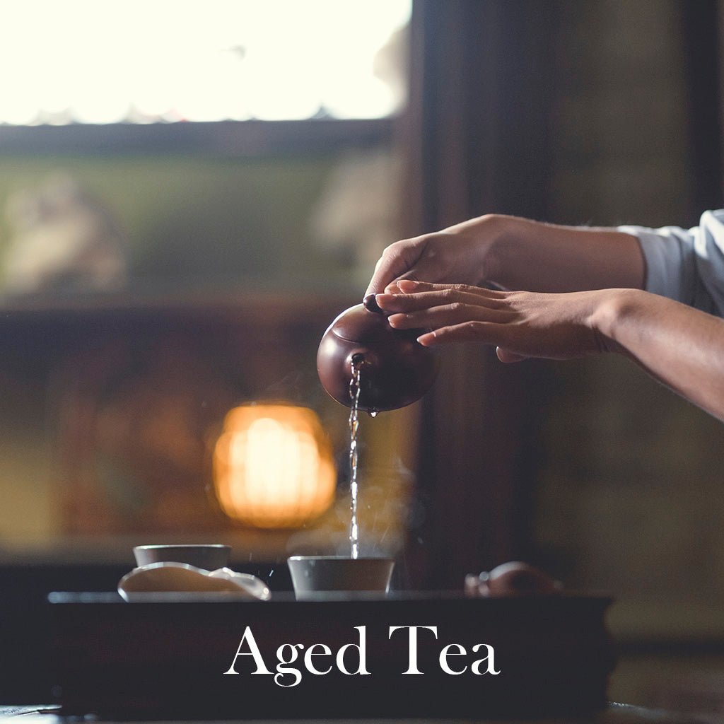 Aged Tea Tasting: 'The older the better?'