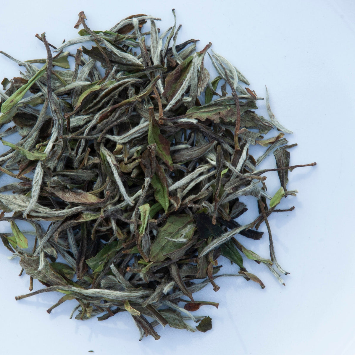 White Tea | The Chinese Tea Company