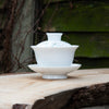 Hand-made Porcelain Gaiwan with apricot flowers