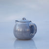 Architectural Grey Teapot (Melon Shape）