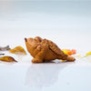Tea Pet - Golden Toad (medium)