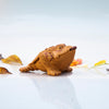 Tea Pet - Golden Toad (medium)