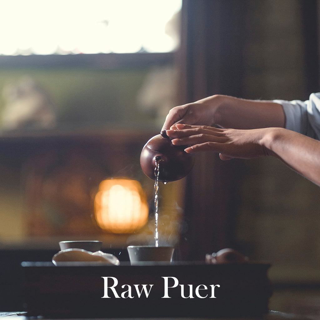 Raw Puer Tea Tasting: 'The Mountain Tour'