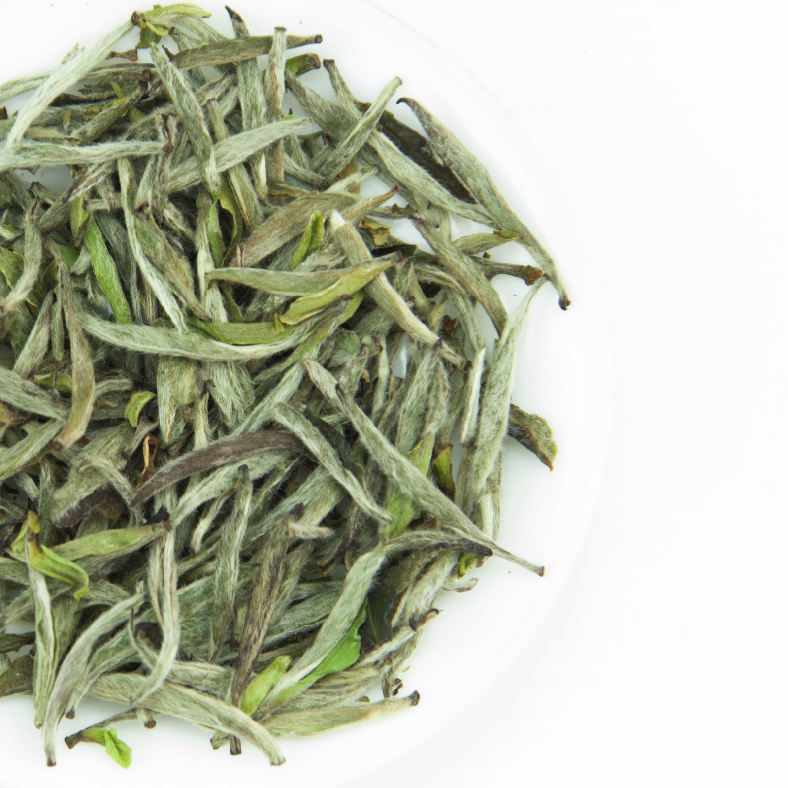 Silver Needle White Tea （2024 Spring)