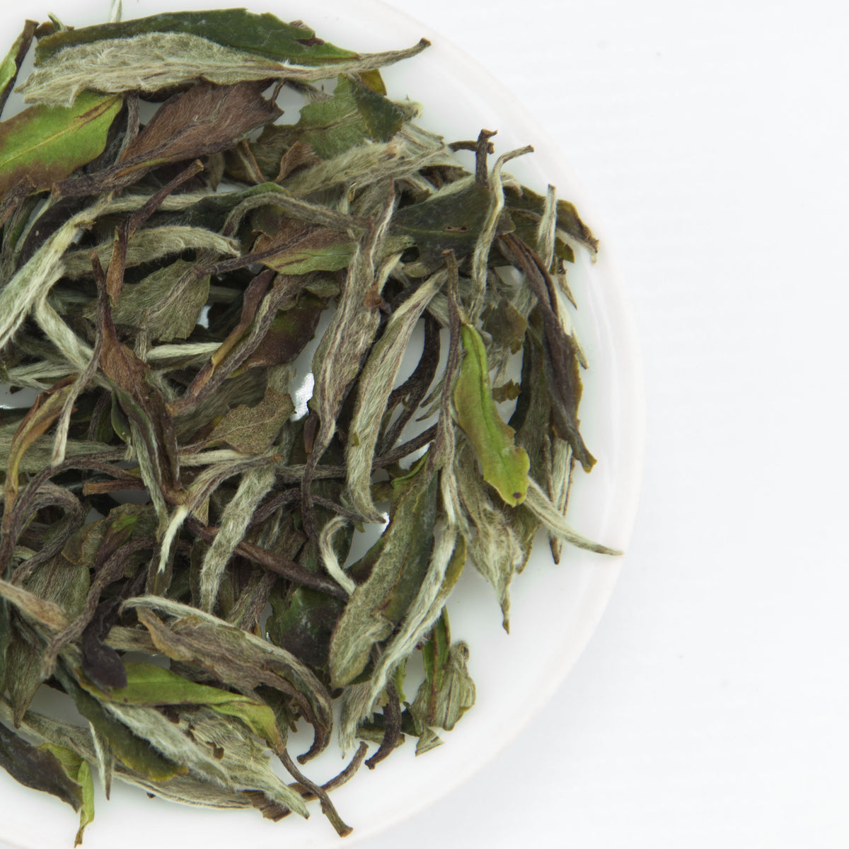 White Tea | The Chinese Tea Company
