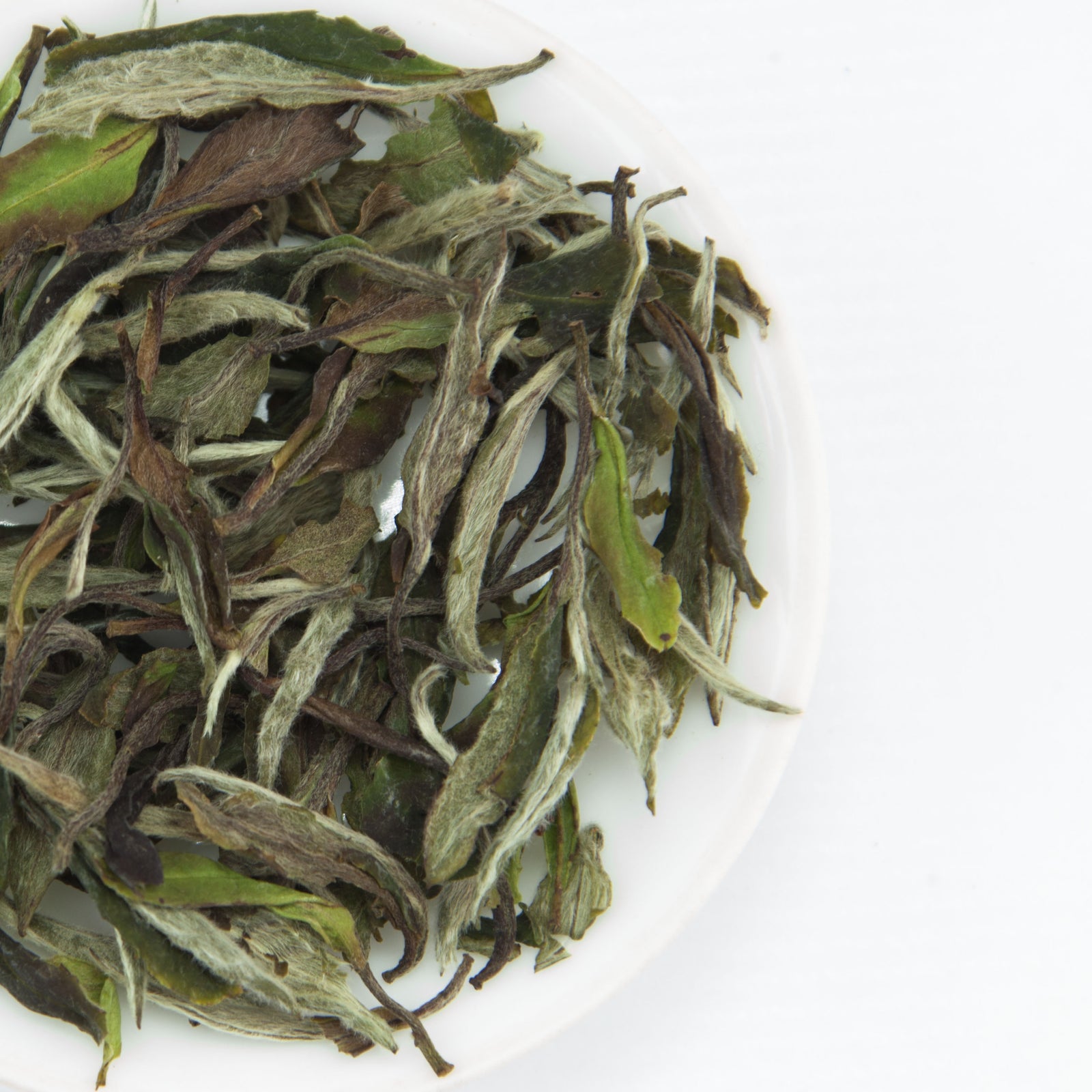 White Peony White Tea